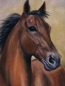 retrato-caballo